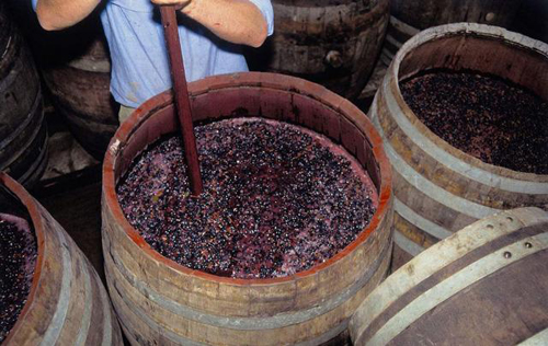 葡萄酒怎样算发酵好?