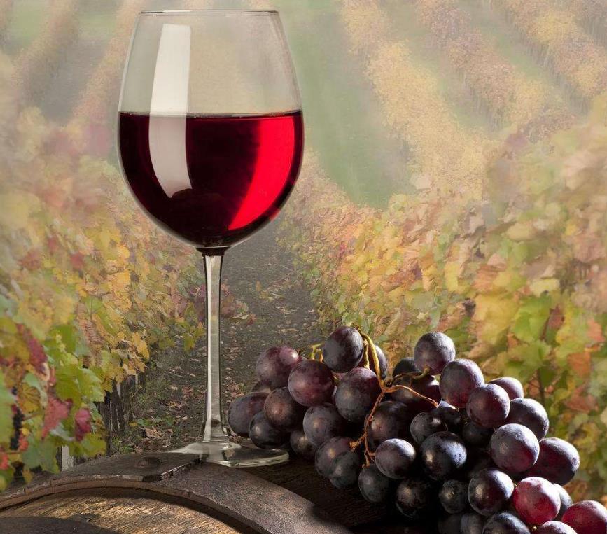 怎么对待葡萄酒最坦诚？