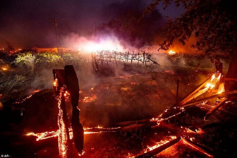 美国加州遭遇严重火灾，纳帕谷和索诺玛葡萄园受到严重影响