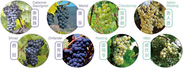 关于葡萄酒与中国菜肴的巧妙搭配我们知道多少呢？