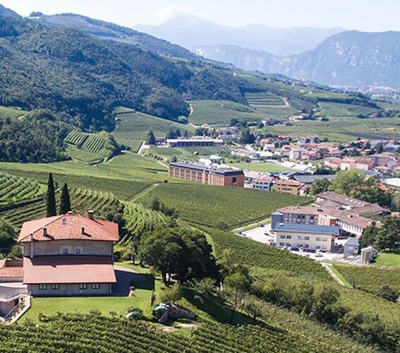 意大利最值钱葡萄园位于北部葡萄酒产区