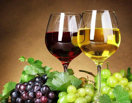 烟台产区葡萄与葡萄酒技术培训即将举办
