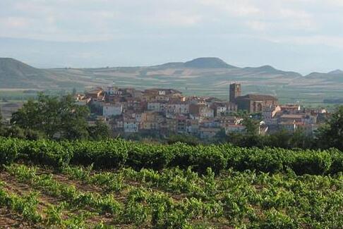 大多数西班牙葡萄酒商计划把葡萄园搬上山谷
