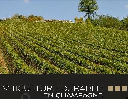 法国香槟区坚持走可持续发展道路