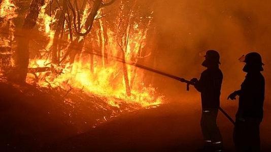 最新信息：阿德莱德山区三分之一的葡萄园受到大火破坏