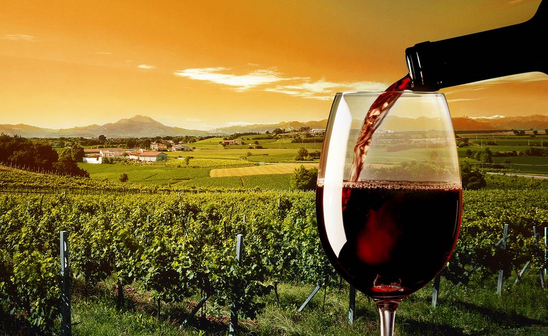 葡萄酒企业设备现状是怎样的呢？