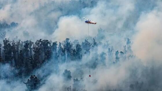 澳洲葡萄酒管理局表示目前只有1%葡萄园受到火灾影响