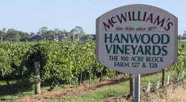 遭遇财务困难，澳洲第六大葡萄酒公司麦威廉葡萄酒进入破产管理