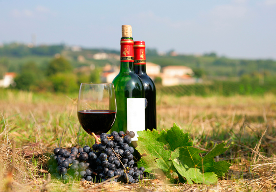 法国产葡萄酒的有利条件是什么？