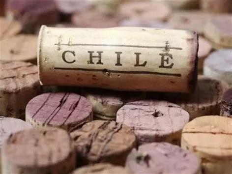 关于智利葡萄酒，越来越多的人注意到了这几点......