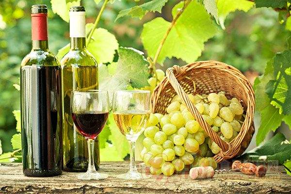 白兰地原料葡萄酒的加工是怎么样的呢