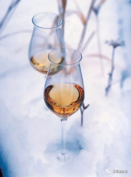 2019年德国还有一家酒庄可以酿造冰酒！然而你了解冰酒吗？
