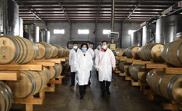 秦皇岛市昌黎县领导到访茅台葡萄酒公司进行专题调研