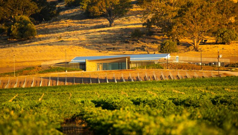 澳洲首家地区性葡萄酒窖将在巴罗萨产区营业