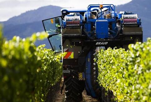 新西兰提高警戒级别，葡萄酒行业或面临停产