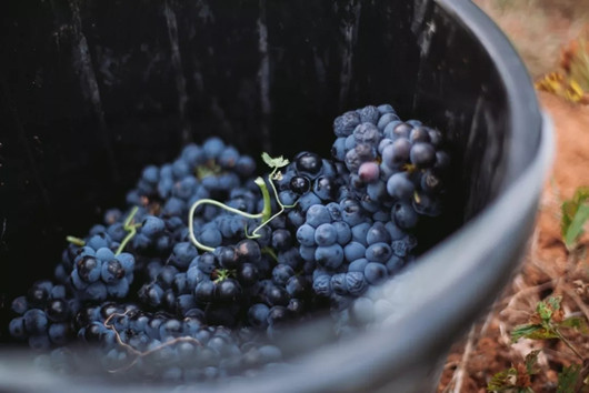 澳大利亚葡萄酒管理局发布最新出口报告数据
