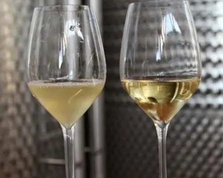 澳洲科学家使用磁性纳米颗粒减少葡萄酒产量损失