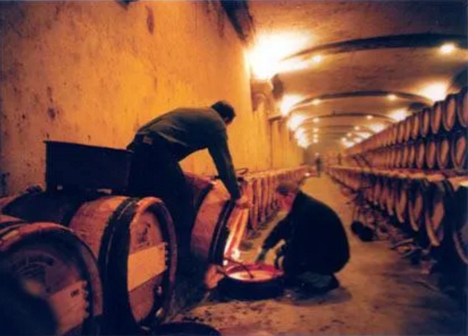 你的洗手液是“大区波尔多”等级？法国超2亿升葡萄酒将被蒸馏 