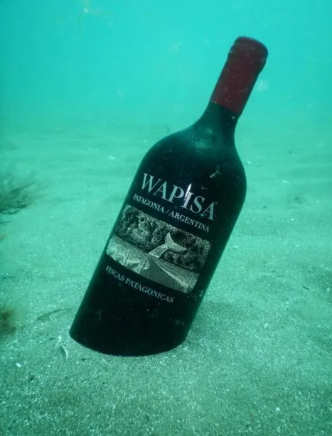 阿根廷塔皮斯酒庄进行水下陈化葡萄酒项目