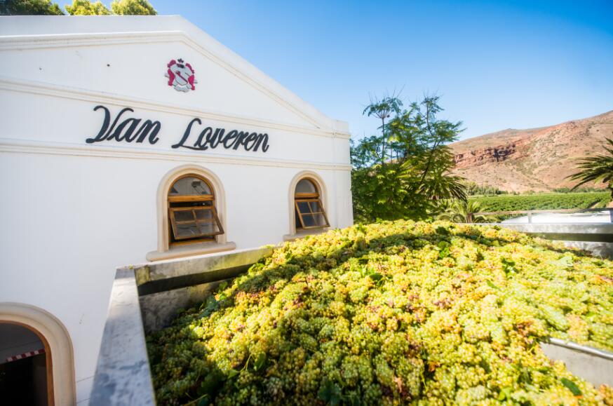 南非最大家族酒庄——梵劳伦家族酒庄