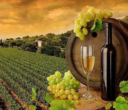 酿制葡萄酒的副产品流程