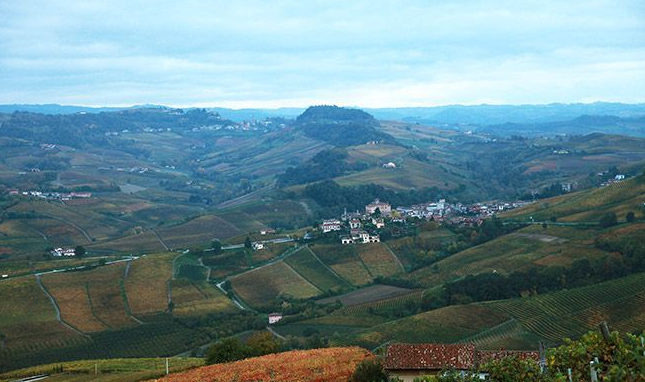 巴罗洛葡萄酒产区投票否决强制性库存提议