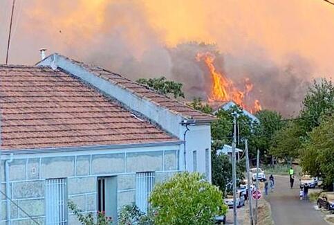 加州遭遇三场森林大火，很多葡萄园被毁