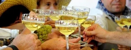 今年阿斯蒂葡萄酒产区产量将达到8800万瓶