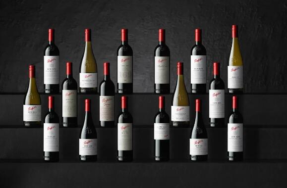 奔富新年份“珍藏系列”葡萄酒在澳洲发布，抢占下半年市场
