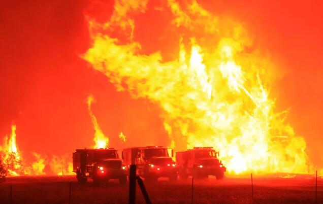 加州遭受大火袭击，当地葡萄园受到影响