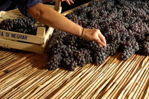 葡萄酒学者协会推出意大利基础课程