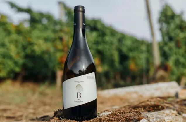 西班牙Ponte da Boga酒庄推出稀有本土葡萄品种Branco Lexítimo葡萄酒