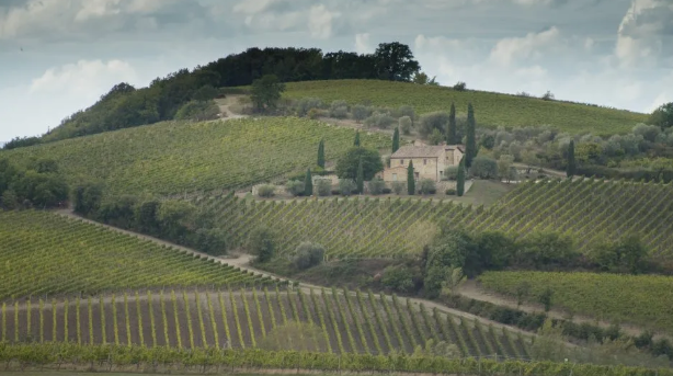 布鲁奈罗葡萄酒高知名度惠及其他农产品