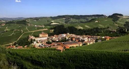 巴罗洛镇被评选为2021年度意大利葡萄酒之城