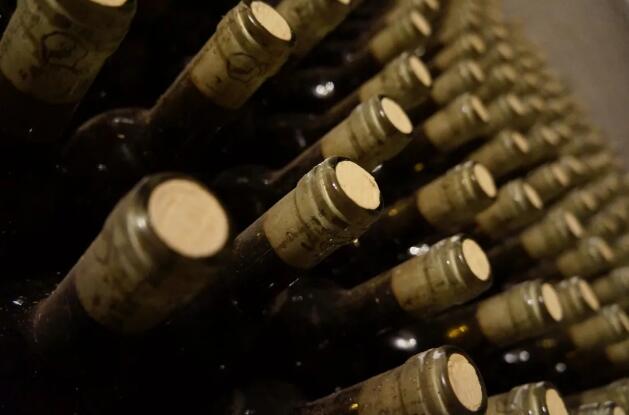 葡萄酒进口市场新风向？智利葡萄酒最优之选！