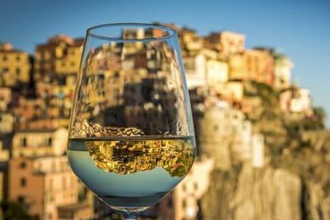 2020年意大利葡萄酒出口表现优于其他竞争对手