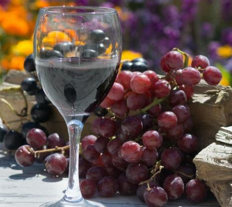 西欧为什么盛产葡萄酒？欧洲盛产葡萄酒的原因