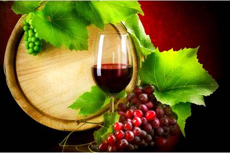法国葡萄酒文化 你了解吗