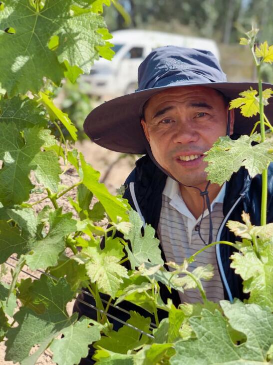 《山海情》里有贺兰神酒庄，他是葡萄酒产业的“凌一农”