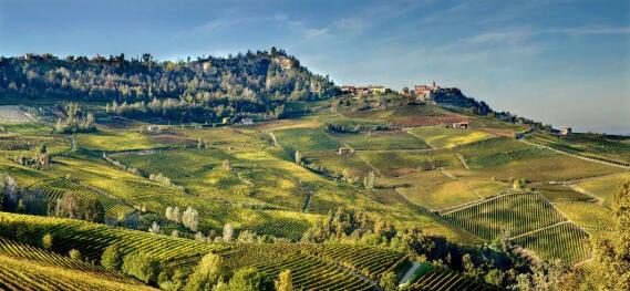 意大利酒庄旅游兴起，能带动其他农产品市场发展