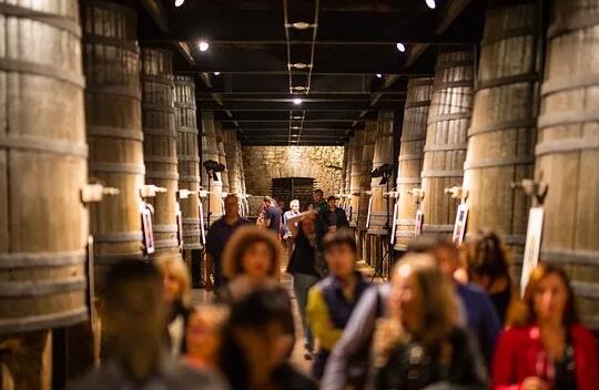 洛格罗尼奥市修改总体规划，有利于扩大葡萄酒旅游产业