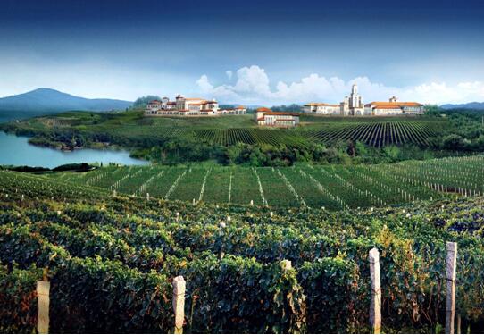 怀来县召开葡萄产业研讨会