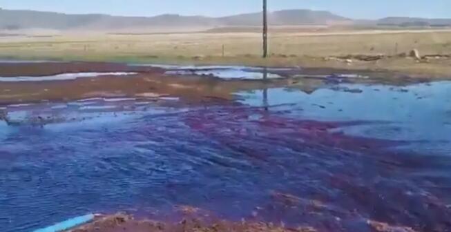 南非西开普达岭酒庄发生5万升葡萄酒液泄漏