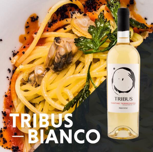 尖货分享丨Terredagoli酒庄酒款 托斯卡纳“风土”下葡萄酒的潜力