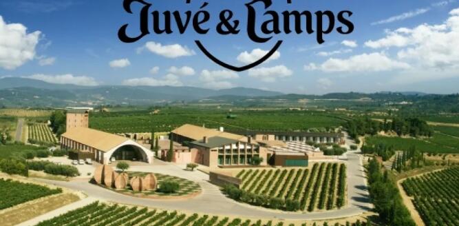 西班牙Juvé & Camps酒庄决定对外开放