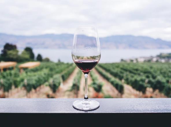 什么是生物动力葡萄酒？