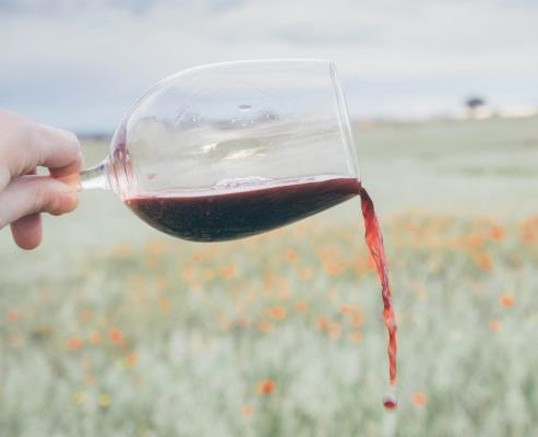 葡萄酒有沉淀物正常吗？