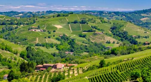 意大利皮埃蒙特葡萄酒产区拔出580万欧元资金用于葡萄园重组和改造