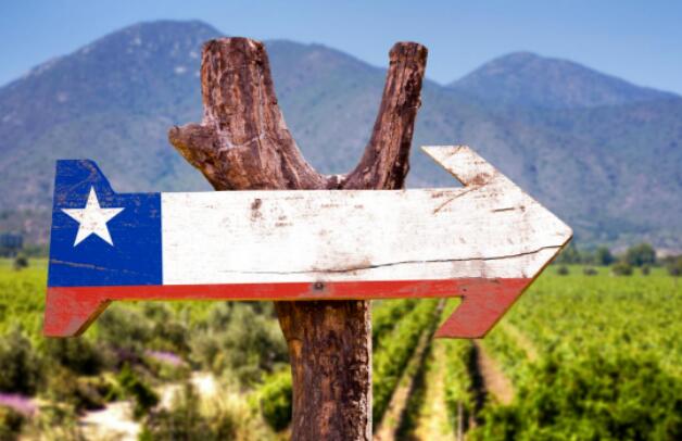 智利计划成立有机葡萄酒协会