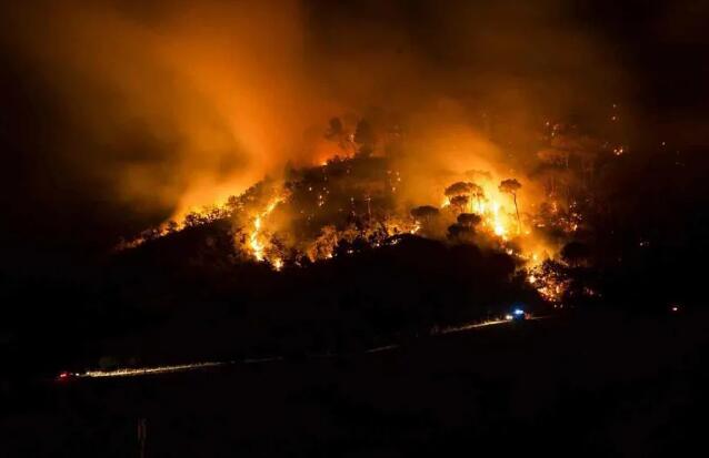 法国南部爆发大规模野火，普罗旺斯多家酒庄受损